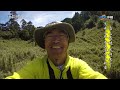 night trek navigating fallen trees in hemlock forest.drone captures aerial view of mountain range