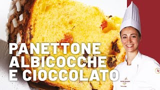 Panettone albicocche e cioccolato fondente di Federica Russo