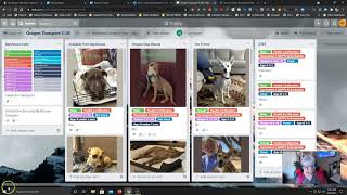 Barkhouse Transport using Trello