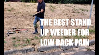 The Best Stand Up Weeders to Avoid Low Back Pain