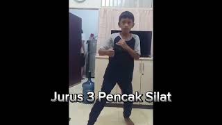 Jurus Pukulan Pencak Silat | Pukulan 3 dan 4 |