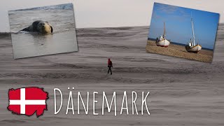 Teil 3 der Dänemark-Reise: Slettestrand, Grenen, Råbjerg Mile