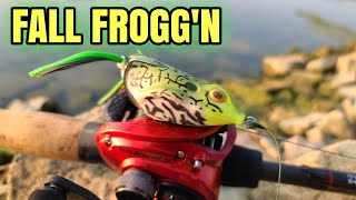 Frog Bite Was CRAZY Good! (Bank Fishing)