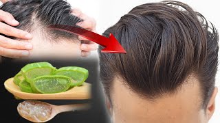 रोजाना बालोंमे एलोवेरा जेललगानेसे क्या होगा | Hair Fall को जड़ से ठीक करें, Home Remedy For HairFall