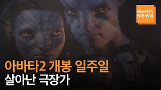 [매일경제TV 뉴스] 아바타2 개봉 일주일…살아난 극장가