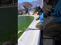 【川越水上公園】流水プールに大物いた【プールフィッシングさいたま水族館コラボ】