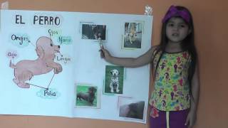 EXPOSICIÓN DEL PERRO  maría josé