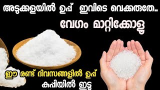 അടുക്കളയിൽ ഉപ്പിന്റെ സ്ഥാനം ഇവിടെയാണോ?‼️ എങ്കിൽ പെട്ടെന്ന് മാറിക്കോളും/ Jasmin's world