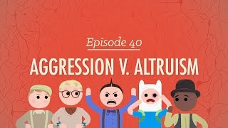 Aggression vs. Altruism: Crash Course Psychology #40