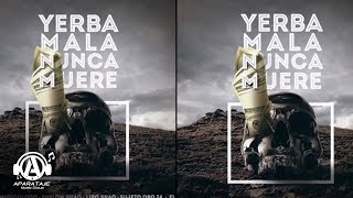 Yerba Mala Nunca Muere - La Manta, Musicologo, Shelow shaq, Liro, Sujeto, El Bok