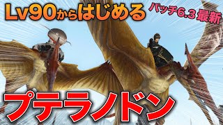 【FF14】Lv90からマウント「プテラノドン」獲得の納品アイテム製作マクロ・スキル回し【イシュガルド復興】【料理のみ、薬・マイスターなし】