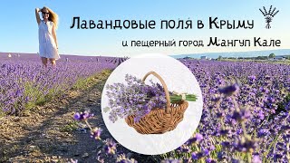 Лавандовые поля в Крыму где находятся, Тургеневка. Мангуп Кале