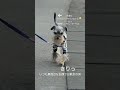 黒もしょ～ず、いわきの新舞子浜をお散歩する（instagram stories 2024年9月30日） dog dogshorts dogs じんきは jinkiha