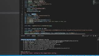 nodejs requires a middleware function