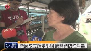 屏養雞場爆H5N2 300萬問題蛋流市面 2015-01-10 TITV 原視新聞