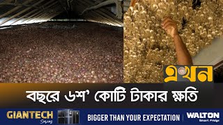 সংরক্ষণাগারের অভাবে নাটোরের ফসল নষ্ট | Grain Storage | Storage Crisis | Natore | Ekhon TV