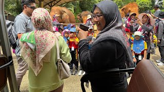 Vlog :  Ikut faiq lawatan tadika As Syifa ke zoo melaka