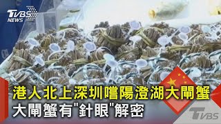 港人北上深圳嚐陽澄湖大閘蟹 大閘蟹有「針眼」解密｜TVBS新聞 @TVBSNEWS02