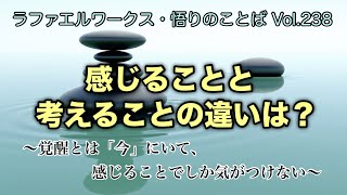 「感じることと考えることの違いは？」～ラファエルワークス・悟りのことば Vol.238