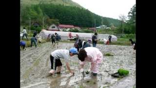 ［ 同友会 ］20090524　美苫みのり会　田植え体験会