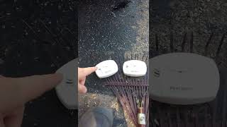 How Do I Test A Carbon Monoxide Detector Diy