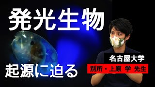 この地球の歴史の中で生き物はいつから光り出したのか　発光生物の進化学の世界　名古屋大学高等研究院特任助教　別所上原学先生　インタビュー　後編