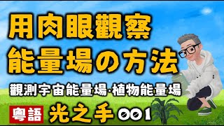 Ep328.如何用肉眼看見能量場丨光之手丨植物能量場丨宇宙能量場丨水晶能量場丨New Age丨芭芭拉·安·布藍能丨愛丨維度丨外星人丨塔羅丨占卜丨心理學丨社工丨瑜伽丨訟缽丨食療丨氣功丨能量療愈