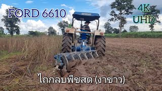 รถไถฟอร์ด 6610 ไถกลบพืชสด พืชตระกูลงา | รถไถฟอร์ด | แทรกเตอร์ นัฐ