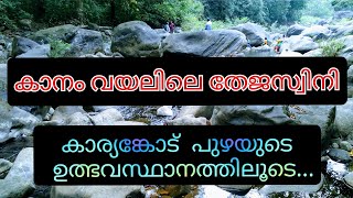 Kanamvayal // തേജസ്വിനി // കാനംവയൽ //കാര്യങ്കോട്പുഴ  #thejaswini #karyamkoderiver