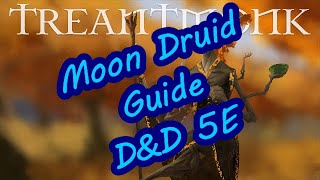 Moon Druid Guide D&D 5E