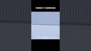 一个人走到纸的后面竟然会凭空消失#科普 #dou出新知