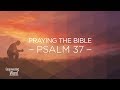 The Steps of the Righteous – Psalm 37 (Praying the Bible)