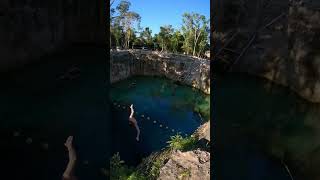 😌🩵 #jumping #cenotes #tulum #tulumvibes #artist #exploring #nature #travel #traveling #awakening