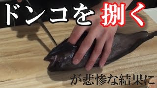 【HFC料理編】ドンコ捌いてみたら悲惨な結果に！？【とも】