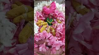 Sri mangala varahi ambhigai my Graham panchami pooja