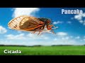 learn insects learn names and sounds of insects for kids in english 2