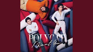 จะเอาอะไร (Live in Polycat I Want You Concert)