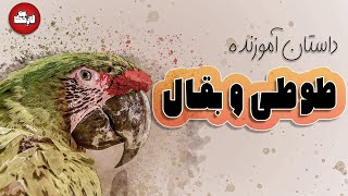 طوطی و بقال: داستان آموزنده طوطی و بقال - مثنوی مولوی