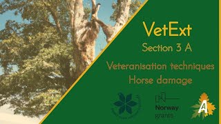 VetExt / Section 3 A / Veteranisation techniques / Horse damage