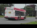 transit around downsview park ttc buses november 2021