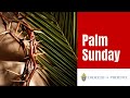 The Catholic Mass for March 28, 2021 - Palm Sunday of the Passion of the Lord