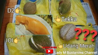 DURIAN REVIEW-D2, IOI, UDANG MERAH, TEKKA, mana lg padu ? | Which one is better among them #durian