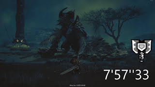 Arkveld solo Charge Blade 7'57\