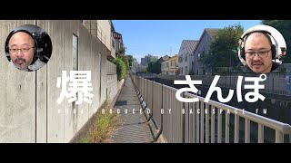 「iPhoneとジンバルで井草八幡から善福寺川沿いを歩いて西荻窪に向かってみた」 #爆さんぽ #004