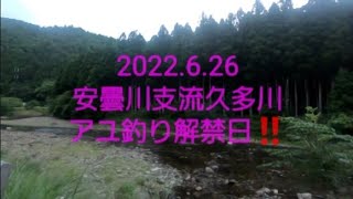 2022.6.26 安曇川支流久多川　アユ釣り解禁日✨