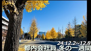 やっぱり銀杏並木が綺麗な冬の東京。都内在住サラリーマンの一週間。24.12.2~12.8