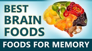 Brain Foods - Foods that Helps Increase Your Memory - Brain Foods for Memory - Brain Power Boost