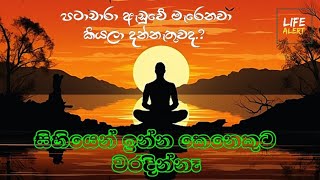 සිහිය ඔබව නිර්වාණය  කරා රැගෙන යයි , නමුත් සිහියයි අවශ්‍ය | #LIFEALERT #Dharmadeshana #Sinhala