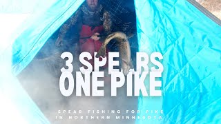 3 Attempts, 1 Fish... Spear Fishing Pike, Can't believe we got it! DJs PB Spearing Pike!