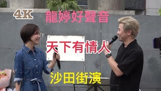 小龍女 龍婷 智哥 合唱《天下有情人》￼沙田街演 2023.04.29 4K